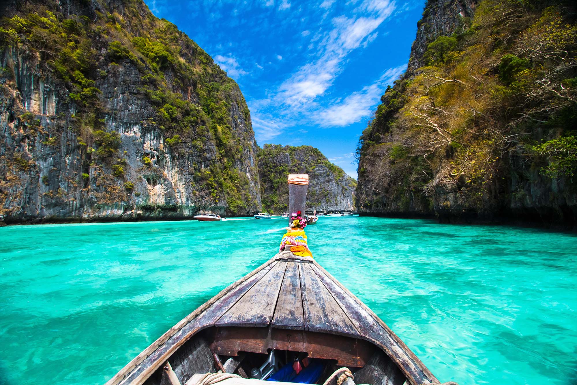 Mr. Moo Tours Khao Lak - Lass Deine Urlaubsträume wahr werden! logo